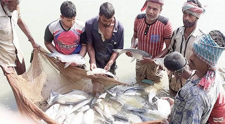 ক্ষতিগ্রস্ত মৎস্যচাষিদের ১০০ কোটি টাকা দিচ্ছে সরকার