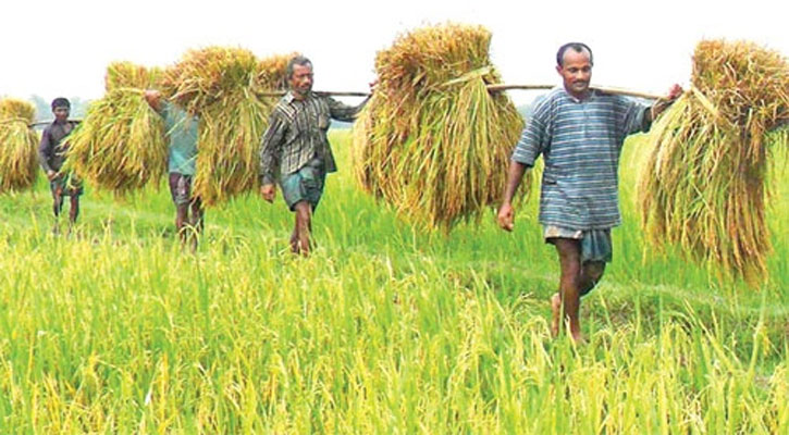 করোনায়ও বাড়ছে কৃষি উদ্যোক্তা