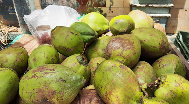 ডেঙ্গু-করোনায় ডাবের সেঞ্চুরি