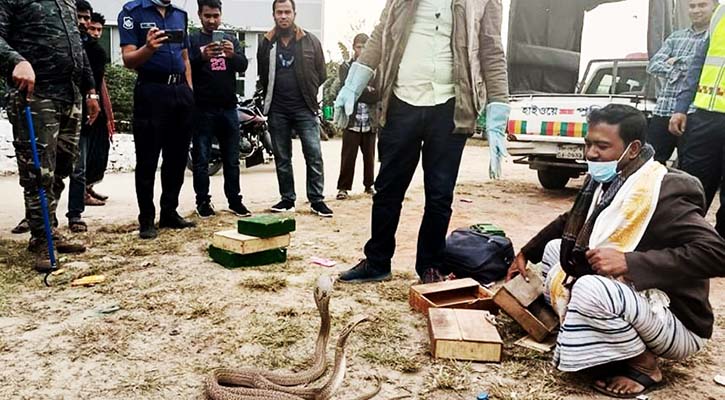 মাদক সন্দেহে বাক্স খুলেই ওসির ভোঁ-দৌড় 