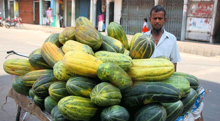 ইফতারে বাঙ্গির যত উপকারিতা