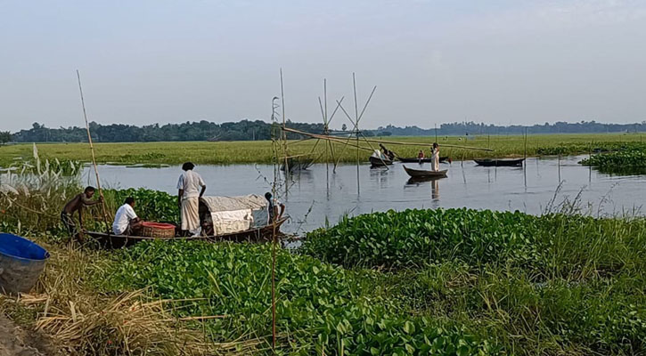 চাটমোহরে জলাশয়ে জোরপূর্বক মাছ ধরার অভিযোগ