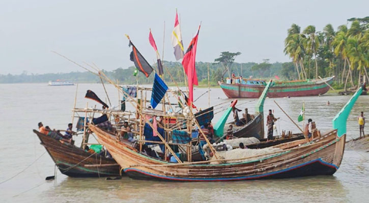 মেঘনায় বিষ দিয়ে চিংড়ি শিকার, নিধন হচ্ছে পোনা