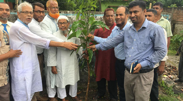 শাহ্জালাল ইসলামী ব্যাংকের উদ্যোগে যশোরে বৃক্ষরোপণ কর্মসূচি