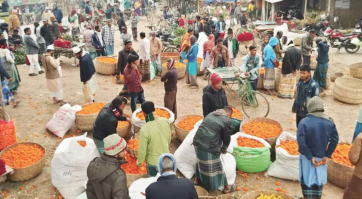 যশোরের গদখালীতে বেড়েছে ফুল বিক্রি