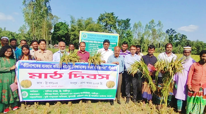 ফুলবাড়ীতে মাঠ দিবস ও কৃষকদের প্রশিক্ষণ অনুষ্ঠিত