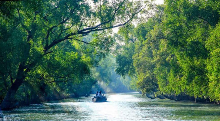 সুন্দরবনে প্রবেশে তিন মাসের নিষেধাজ্ঞা