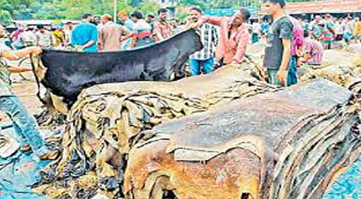 আন্তর্জাতিক বাজারে বাংলাদেশি চামড়ার দাম কম কেন?