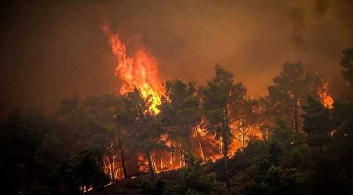 ভয়াবহ আকার নিচ্ছে গ্রিসের দাবানল, বাড়িঘর, হোটেল ছেড়ে পালাচ্ছে মানুষ