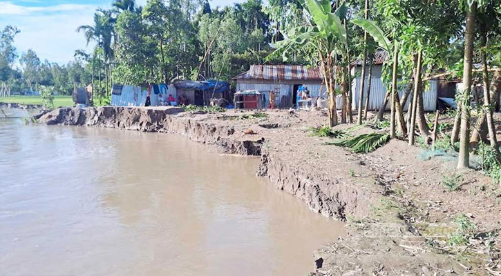 ভাঙনে ঘরবাড়ি হারিয়ে দিশেহারা তিস্তাপাড়ের মানুষ