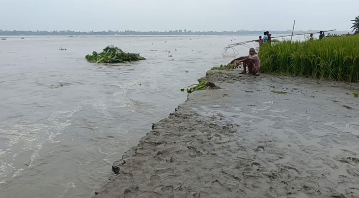 ভাঙনে দিশেহারা কুড়িগ্রামের নদী পাড়ের মানুষ