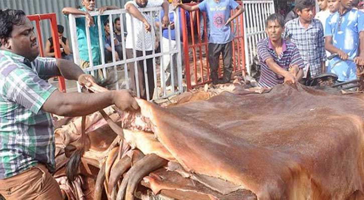 পশু কোরবানির পর চলছে চামড়া সংগ্রহের কাজ