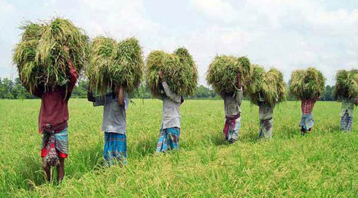 ২৫ বিঘার কম জমি থাকলে কর দিতে হবে না