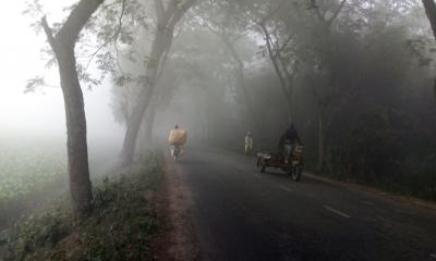 শীতে জবুথবু চুয়াডাঙ্গা, তাপমাত্রা নেমেছে ১৪.২ ডিগ্রিতে