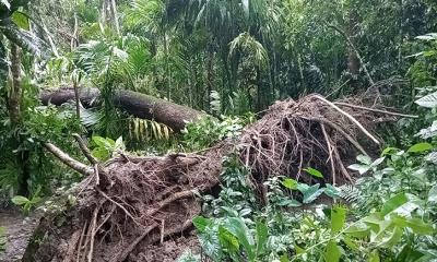 পিরোজপুরে শুরু হয়েছে ঘূর্ণিঝড় ডানা’র তান্ডব, জেলা প্রশাসনের প্রস্তুতি