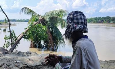 নবগঙ্গার থাবায় নিঃস্ব ১৫ পরিবার