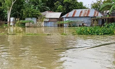 কুড়িগ্রামের নদ-নদীর পানি বৃদ্ধি, তিস্তার পানি বিপৎসীমার ৩৩ সেন্টিমিটার উপরে