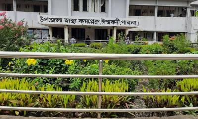 ঈশ্বরদীতে বিষাক্ত পোকার কামড়ে শিশুর মৃত্যু