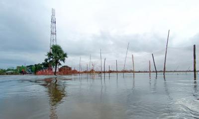 সাতক্ষীরায় বাঁধ ভেঙে ৫০ গ্রাম প্লাবিত, মাছ চাষি ও কৃষকদের ব্যাপক ক্ষতি