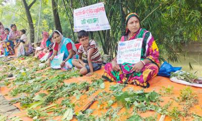 শ্যামনগরে ব্যতিক্রমী ‘খোটা শাকের মেলা’