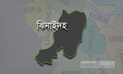 পিকআপ ভ্যানের ধাক্কায় প্রাণ গেল করিমন চালকের