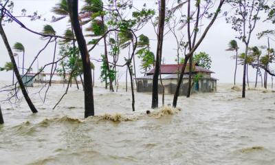 চোখের সামনে ভেসে গেল ২ হাজার গবাদিপশু ও ১০ দোকান