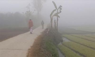 ফের শৈত্যপ্রবাহ, দুঃসংবাদ দিল আবহাওয়া অফিস