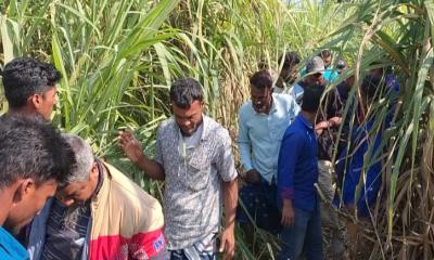 লাশের অংশ বিশেষ মিলেছে আখ ক্ষেতে