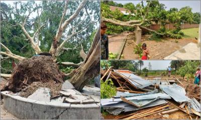 সিংড়ায় ২০ মিনিটের ঝড়ে শতাধিক ঘর বিধ্বস্ত