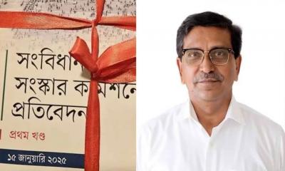 সংবিধান সংস্কার নিয়ে মাহবুবউল আলম হানিফের বিবৃতি