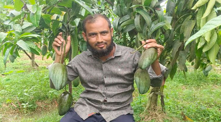 দেশ জুড়ে সাড়া ফেলেছে সবুজের বিদেশি মিশ্র আমের বাগান  