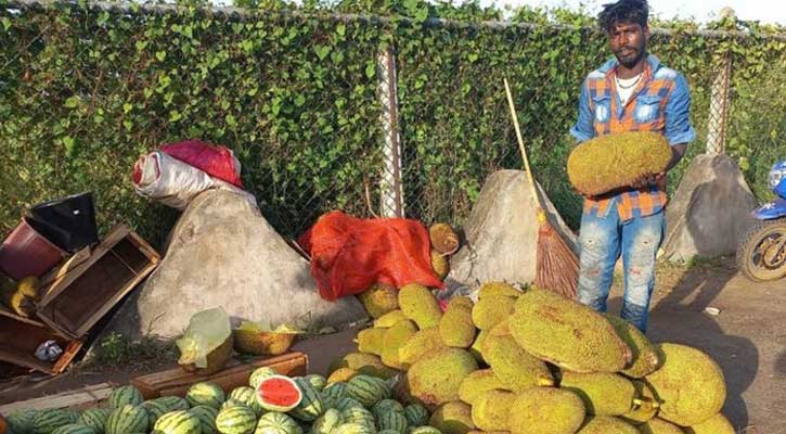 শ্রীলঙ্কায় এখন কাঁঠাল খেয়েই বেঁচে আছে লাখ লাখ মানুষ