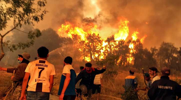 আলজেরিয়ায় দাবানল, ৩৪ জনের মৃত্যু