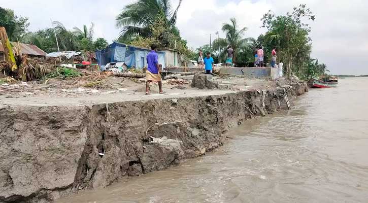 ফরিদপুরে সর্বনাশা পদ্মার ভাঙন; নদীগর্ভে ৪ শতাধিক বসতভিটা