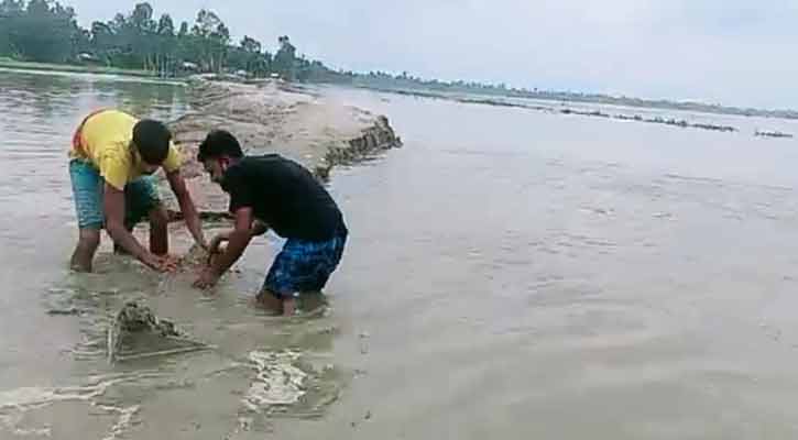 নাগেশ্বরীতে বন্যা নিয়ন্ত্রণ বাঁধ ভেঙ্গে ১৫টি গ্রাম প্লাবিত