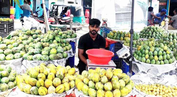 ভাঙ্গুড়ায় ক্রেতা না থাকায় পচে যাচ্ছে আম, দুশ্চিন্তায় ব্যবসায়ীরা   