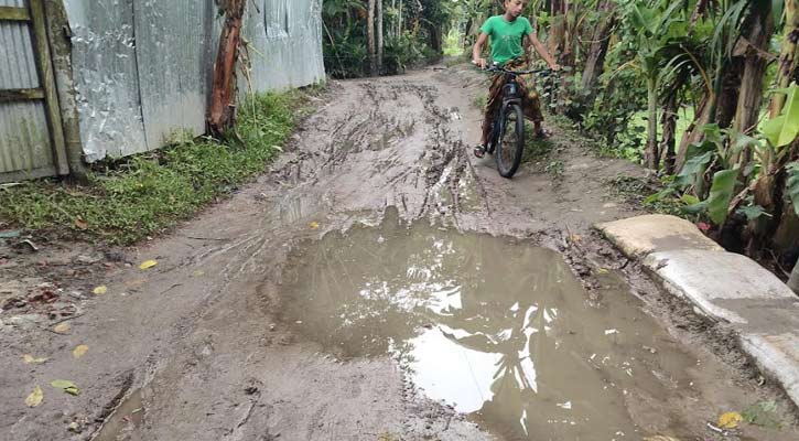 রাজাপুরের ২৫ কিলোমিটার রাস্তা এখন মরণ ফাঁদ, জনদুর্ভোগ চরমে 