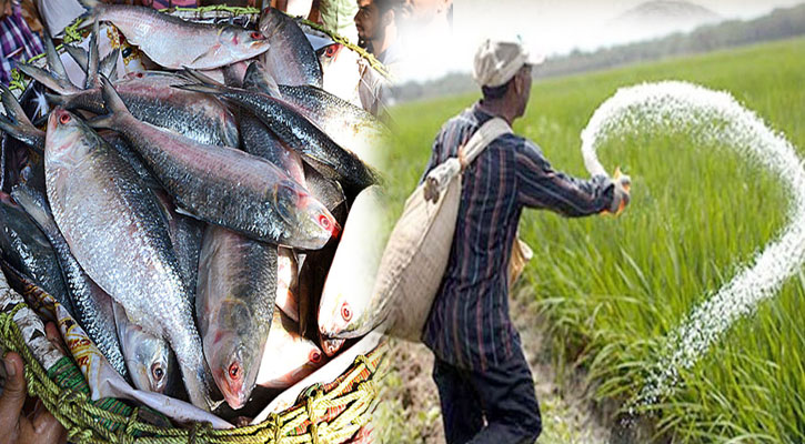 প্রতিবেশী দেশে ইলিশ-সার চোরাচালানের ঝুঁকি রয়েছে