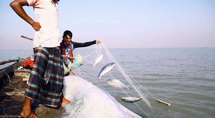 ইলিশ ধরা বন্ধ হচ্ছে রাত থেকে