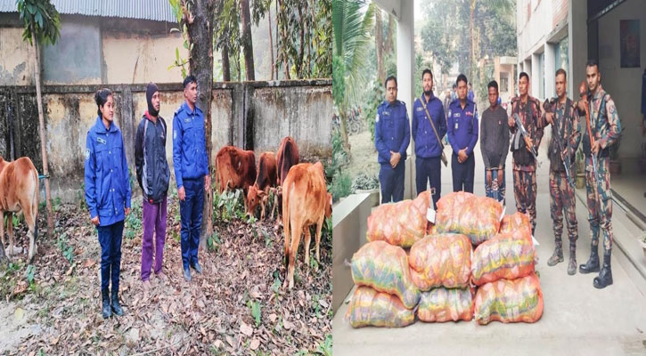 ফুলবাড়ী সীমান্তে ভারতীয় গরু ও জিরাসহ দুই চোরাকারবারি আটক 