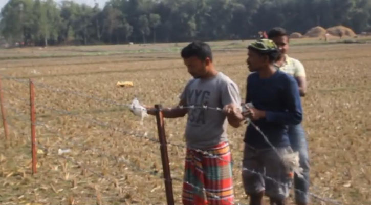 সীমান্তের শূন্যরেখায় ‘বিএসএফ’ এর কাঁটাতারের বেড়া নির্মাণ