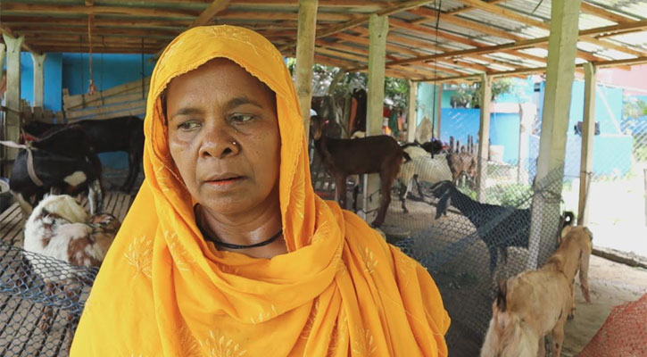 সাতক্ষীরার সবচেয়ে বড় ছাগলের খামার সালমা আক্তারের