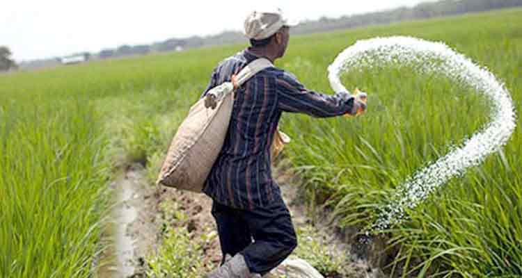 ২৯৬ কোটি টাকার ইউরিয়া সার কিনবে সরকার 