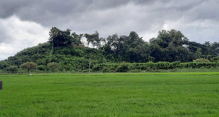 জলপাইতলী সীমান্তে মিয়ানমারের ছোঁড়া মর্টার শেলে নিহত ২