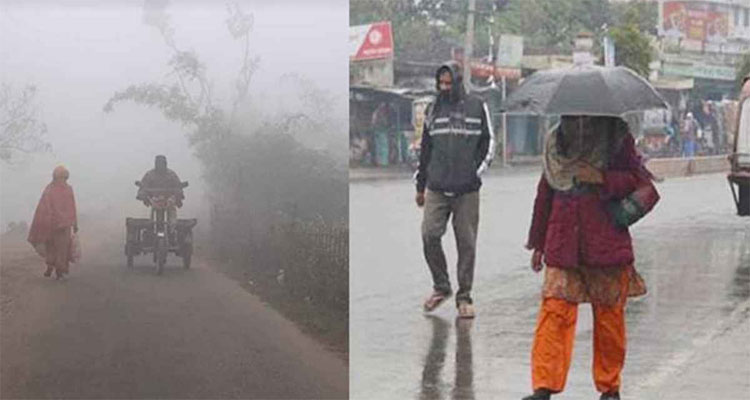 বৃষ্টি ও শৈত্যপ্রবাহ নিয়ে যে তথ্য জানাল আবহাওয়া অফিস