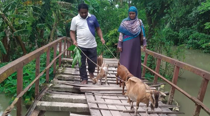 পাথরঘাটায় ঝুঁকিপূর্ণ ১৬টি সেতু, দুর্ভোগে লাখো মানুষ 