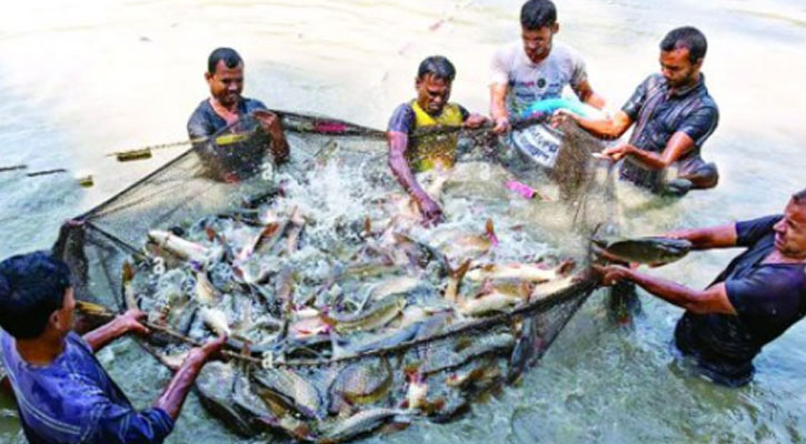 মাছ আহরণে চীনকে ছাড়িয়ে গেল বাংলাদেশ